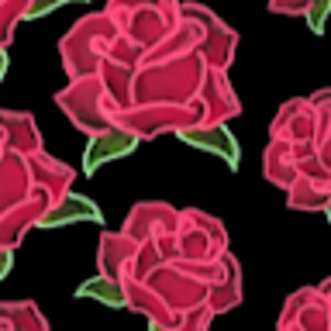 Meet your Posher, Alix